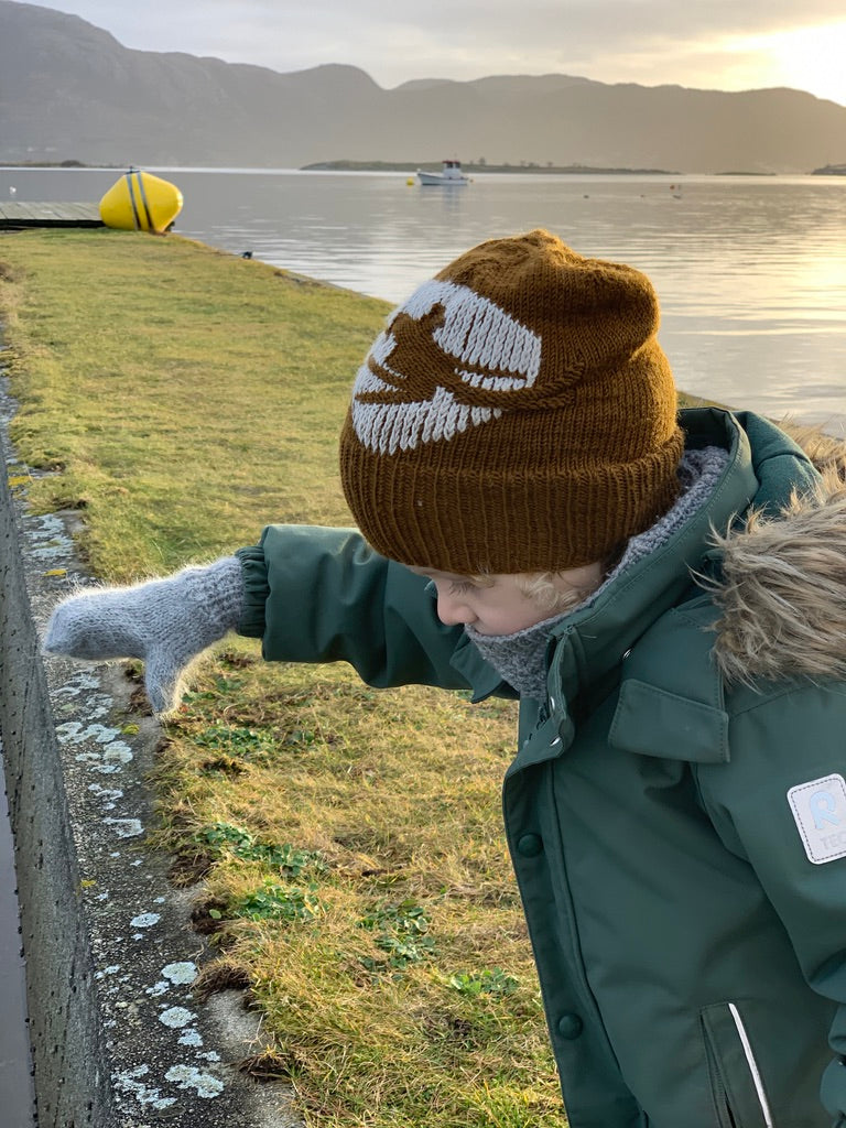 Sinnes Fjellstue Lue