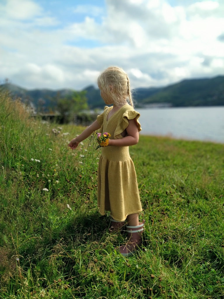 Butterfly Dress Mini