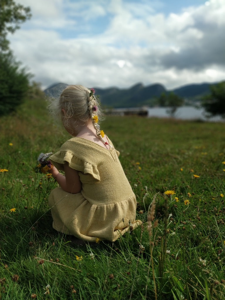 Butterfly Dress Mini