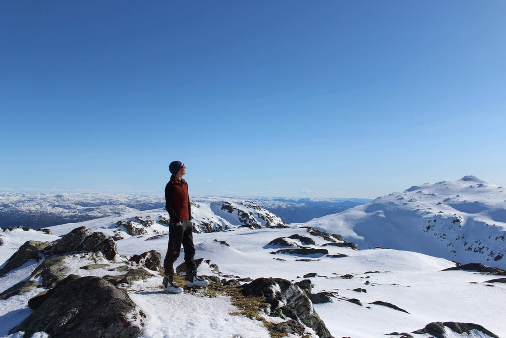 Vill  i Friluftsvest