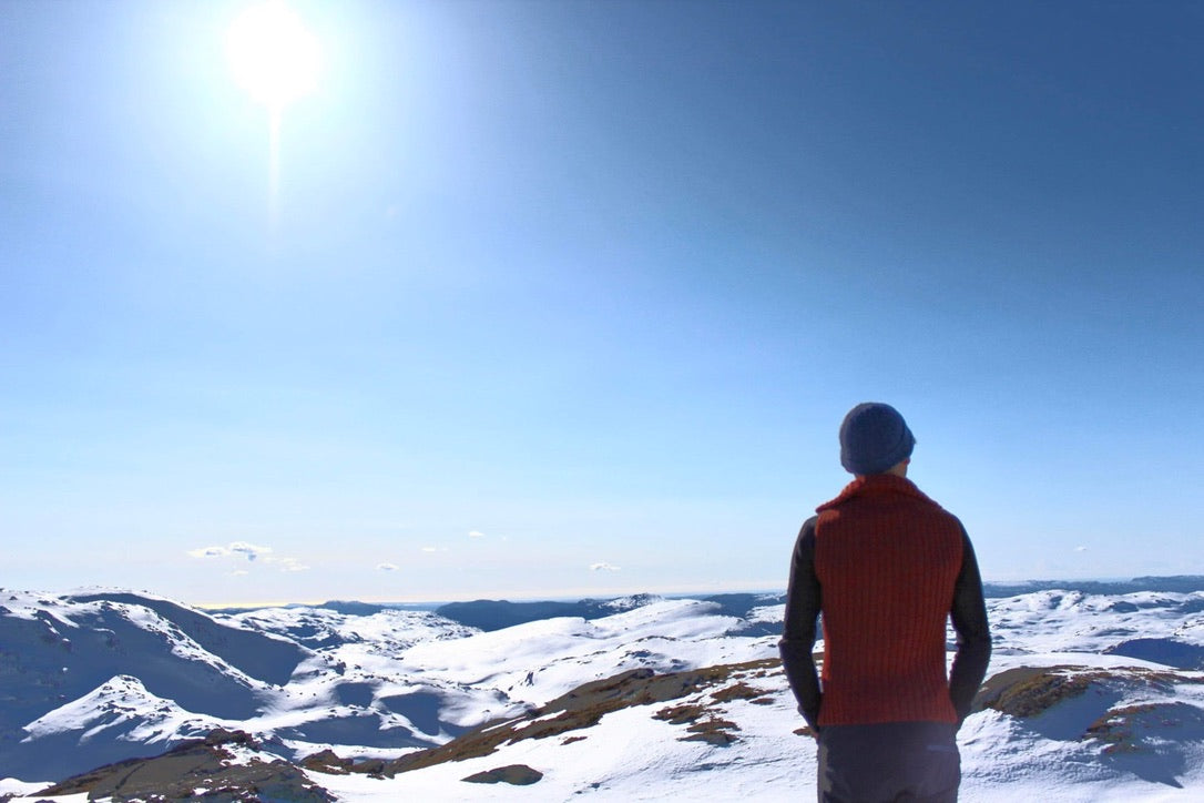 Vill  i Friluftsvest